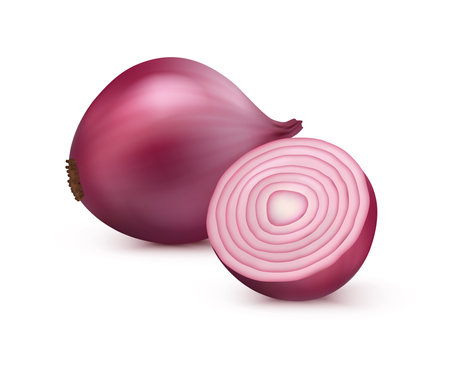 Red onion realistic organic vegetable for cooking, preparing meals and salads. Vector isolated vegetarian product, raw whole and cut in slices delicious natural veggie. Dieting and nutritionのイラスト素材