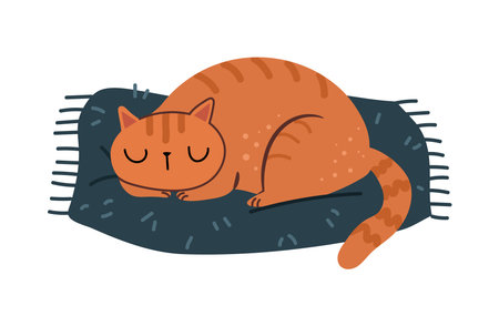 Cute cat sleeping on pet cushion. Vector isolated kitty asleep, lying on soft cozy pillow. Comfortable home animals furniture for felines. Cartoon character relaxing in cold winter seasonのイラスト素材