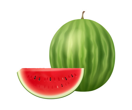 Watermelon fruit whole and slice, sweet food. Vector 3D illustration of healthy food, natural organic healthy fruit, fresh vitamins, natural delicious fruit, juice packaging design elementのイラスト素材