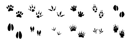 Domestic and wild animal footprints collection. Vector isolation prints of bird and fauna creations paws. Wildlife foot icons, pets footsteps silhouette. Livestock footmarks set in grunge styleのイラスト素材