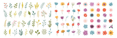 Meadow, forest and field flowers and plants, isolated blossom on season. Vector collection of buds, branches with leaves and flowerets on stems. Flourishing wildflowers. Summer and spring floraのイラスト素材