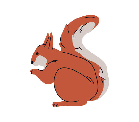 Portrait of squirrel, isolated rodent character with big bushy tails, slender bodies and large eyes. Personage with furry coat, feeding on nuts. Zoo or park fauna. Forest woods animals, wildlifeのイラスト素材