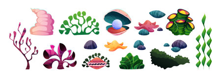 Underwater sea or ocean flora, isolated marine algae and flower plants with leaves and stems. Vector oceanic and aquatic ecosystem elements. Flourishing seaweed and coral, vegetation and stonesのイラスト素材