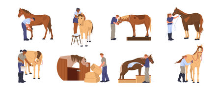 Various horse care activities. Vector stable workers feeding and grooming, washing and shoeing. Caretakers providing food, hay and water, brushing manes, cleaning coats and maintaining hoovesのイラスト素材