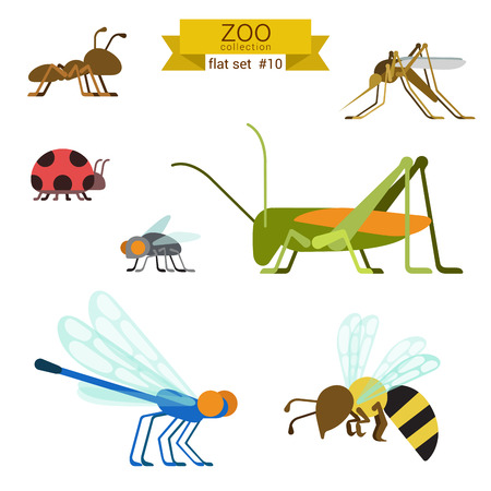 Flat design vector insects and ants icon set. Ant, mosquito, ladybug, fly, grasshopper, locust, dragonfly, wasp. Flat zoo children cartoon collection.のイラスト素材