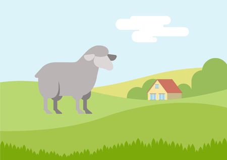 Sheep on farm grass field flat design cartoon vector animals. Flat zoo nature children collection.のイラスト素材