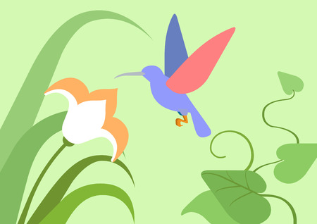 Hummingbird flower natural habitat background flat design cartoon vector wild animals birds. Flat zoo nature children collection.のイラスト素材