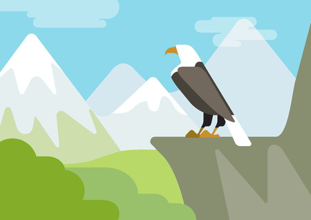 Eagle on the rock mountain habitat flat design cartoon vector wild animals birds. Flat zoo nature children collection.のイラスト素材