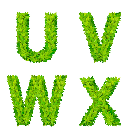 ABC grass leaves letter number elements modern nature placard lettering leafy foliar deciduous vector set. U V W X leaf leafed foliated natural letters latin English alphabet font collection.のイラスト素材