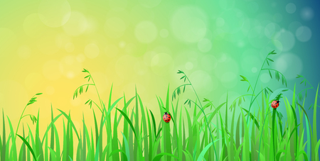 Nice shiny fresh ladybug grass lawn with bokeh blur effect sunshine beam background. Nature spring summer backgrounds collection.のイラスト素材