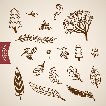 Engraving vintage hand drawn floral elements doodle collage. Pencil Sketch florist shop illustration.のイラスト素材