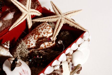 Seashell chest の写真素材