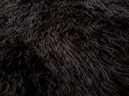 Black animal wool texture background. Close-up texture of plush fluffy fur rug for product backdrop,...
