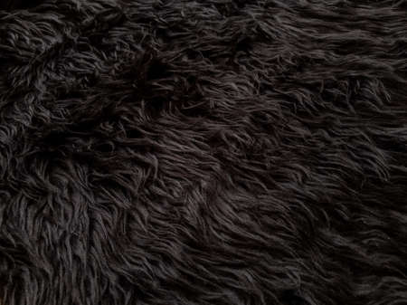 Black animal wool texture background. Close-up texture of plush fluffy fur rug for product backdrop,...