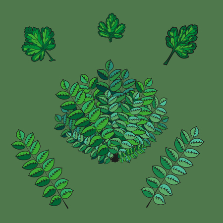 Set of illustrations from the textures of leaves and tree branches of different shades of green to decorate the background of a children's book, postcard or cartoon or for the cover of a postcardのイラスト素材