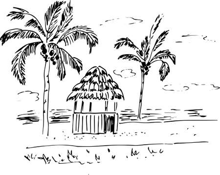 sketch of tropical landscape with palms.vector illustrationのイラスト素材