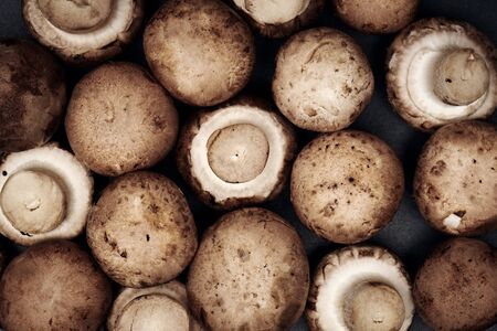 Heap of mushrooms close-up.