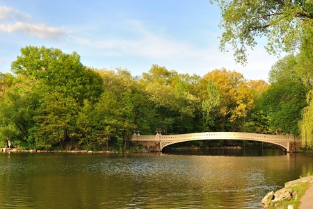 A beautiful pond in Central Park in the middle of New York City.の写真素材