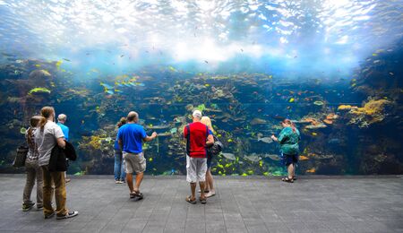 ATLANTA - SEPTEMBER 7: Ocean Explorer exhibit at Georgia Aquarium, the largest aquarium in the world on September 7, 2011 in Atlanta, Georgia.のeditorial素材