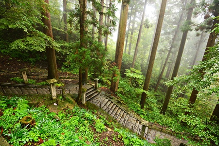 Walking trail to Yamadera Mountain Temple in Yamagata, Japan.
