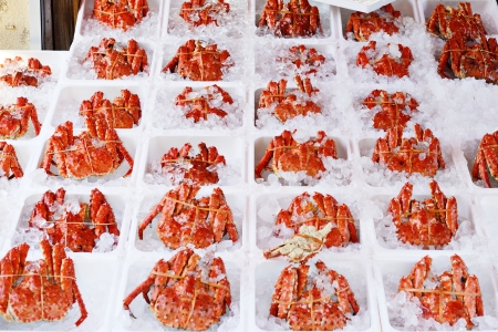 Crabs packed in ice on sale at a morning seafood market in Hakodate, Japan.の写真素材