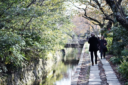 KYOTO - NOVEMBER 19: Philosophers Walk November 19, 2012 in Kyoto, JP.  The route is named after the Japanese philosopher Nishida Kitaro who is thought to have used it for daily meditation.のeditorial素材