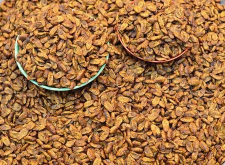 Beondegi on display at Gwangjang Market in Seoul, South Korea. The popular street food snack is...