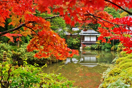 Japanese garden in Nikko, Japan. 11/1