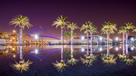 Vincent Thomas Bridge and Palm Tree reflections in San Pedro, Los Angeles, California.の写真素材
