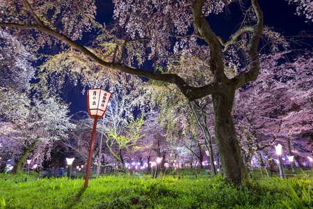 Kyoto, Japan at Hirano Temple festival grounds in spring. The lantern reads "Moonrise, Hirano Temple"のeditorial素材