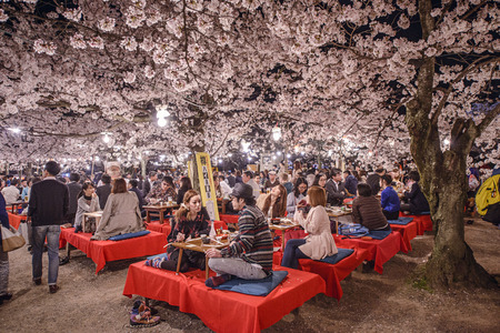 KYOTO, JAPAN - APRIL 3, 2014: People enjoy the spring season by partaking in nighttime Hanami festivals. The annual festivals coincide with the seasonal blooming of the cherry blossoms.