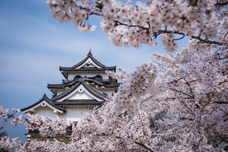 Hikone Castle in Hikone, Shiga Prefecture, Japan.