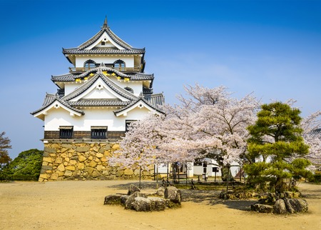 Hikone Castle during spring season in Hikone, Shiga, Japan.のeditorial素材