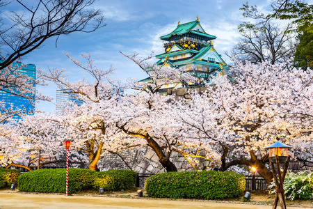 Osaka, Japan at Osaka Castle during the spring season.のeditorial素材