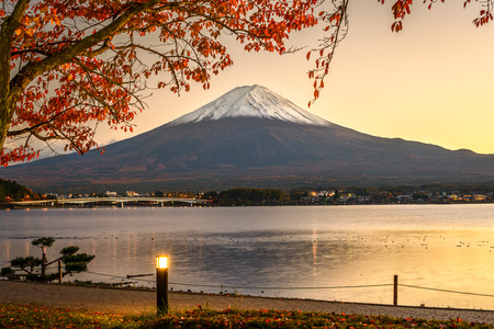 Mt. Fuji with autumn foliage at Lake Kawaguchi in Japan.の写真素材
