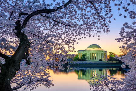Washington, DC at the Jefferson Memorial during spring.のeditorial素材