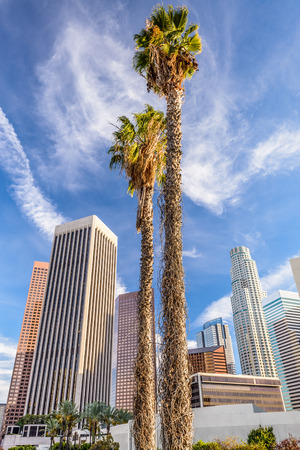 Los Angeles, California, USA palm trees and buildings.の写真素材