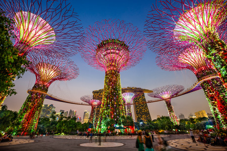 SINGAPORE - SEPTEMBER 5, 2015: Supertrees at Gardens by the bay. The tree-like structures are fitted with environmental technologies that mimic the ecological function of trees.のeditorial素材