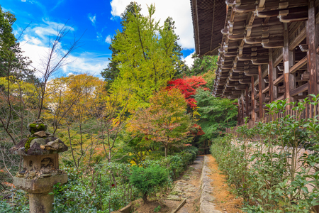 Mount Shosha, Himeji, Japan at Enyogji Temple in early autumn.のeditorial素材