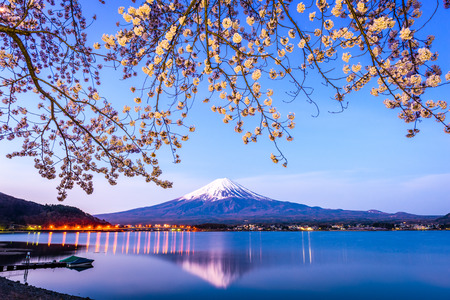 Mt. Fuji on Lake Kawaguchi, Japan during spring season.の写真素材