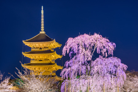 Kyoto, Japan at Toji Pagoda in spring.のeditorial素材