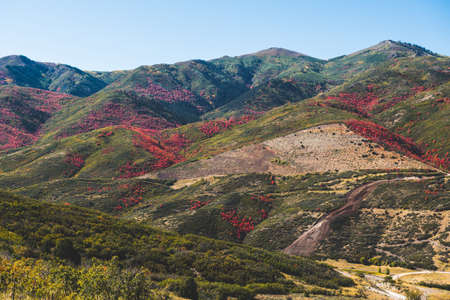 Park City, Utah, USA foliage along the Wasatch Back in autumn.