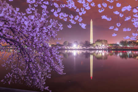 Washington DC; USA at the tidal basin with Washington Monument in spring season.のeditorial素材