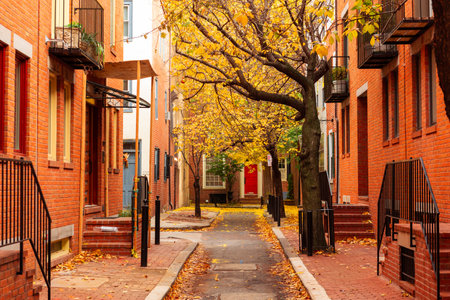 Autumn alleyway in a traditional neighborhood in Philadelphia, Pennsylvania, USA.の写真素材