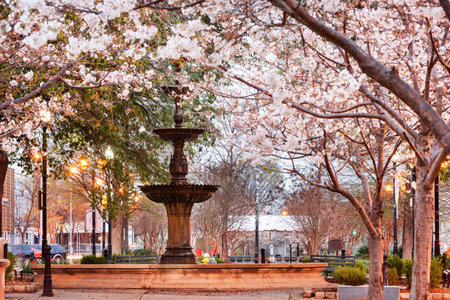 Macon, Georgia, USA downtown square in spring season with the fountain.の写真素材