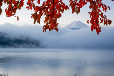 Mt. Fuji over Lake Kawaguchi, Japan with fog rolling in at dawn during autumn season.の写真素材