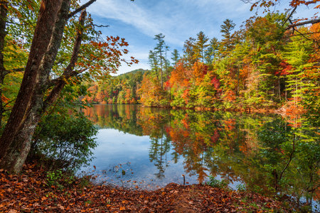 Lakeside fall foliage at Santeetlah Lake, North Carolina, USA.の写真素材