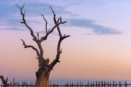 U-Bein Bridge in Mandalay, Myanmar at dawn.の写真素材