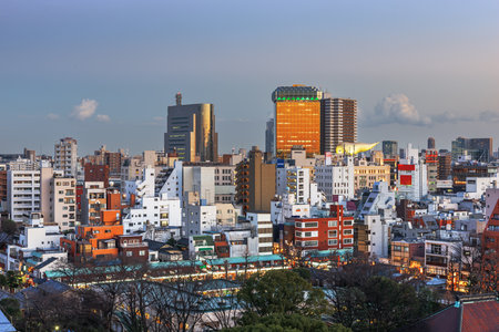Tokyo, Japan apartment buildings and cityscape in  Sumida Ward at dusk.の写真素材
