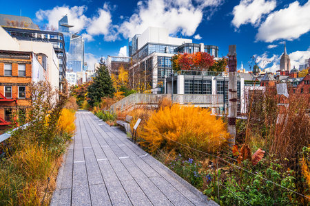 New York, New York, USA on the High Line during autumn season.の写真素材